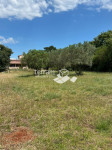 Istra, Vodnjan, Fondole, poljoprivredno zemljište 1184m2, #prodaja