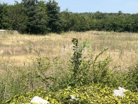 Istra, Vodnjan - okolica, građevinsko zemljište s projektom kuće s baz