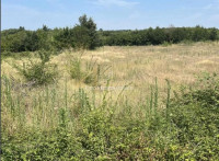 Istra, Vodnjan-okolica, zemljište s građ. dozvolom