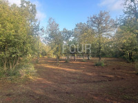 Istra, Vodnjan, Peroj, poljoprivredno zemljište, 3.349m2