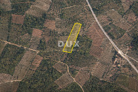 ISTRA, VODNJAN – Poljoprivredno zemljište