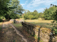 ISTRA, ŽMINJ - 50.000 m2 dijelom urbaniziranog poljoprivrednog zemljiš