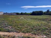 ISTRA, ŽMINJ - Građevinsko zemljište