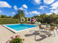 ISTRA, ŽMINJ – Imanje na 9.032 m², tri samostojeće kuće, dva bazena