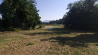 Istra, Žminj - zemljište s pogledom na Učku i vinograd