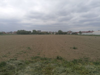 Ivankovo - zemljište 1340 m2