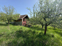 JANIŠEVAC V vikendica 20 m², na zemljištu od 2771 m²