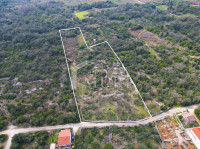 JANJINA - Prostrani maslinik u srcu Pelješca (10.020 m2)
