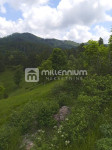 Jelenje, Lepenice, građevinsko zemljište  od 11.937m2