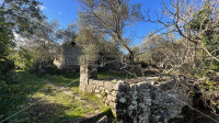 Kamena kućica u prirodi, Lumbarda, otok Korčula