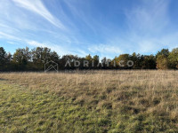 Kanfanar, poljoprivredno zemljište nedaleko centra - 5331m2