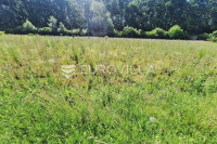 Karlovac, Ilovac, poljoprivredno zemljište 3050 m², uz glavnu cestu, b