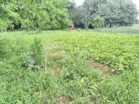 Kastav, 1.720m2, zemljište - 1200m2 u građevinskom području