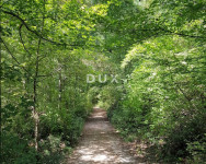 Kastav, poljoprivredno zemljište, 11187 m², šuma