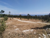Kavran, vikend parcele 300-400 m2, na osami, prekrasan pogled!