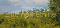 KLANA - BREZA, prodaja građevinskog zemljišta, 2536 m2