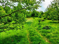 Klana, građevinsko zemljište 5510m2 na atraktivnoj lokaciji