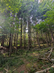 Klana, poljoprivredno zemljište 1.908m2