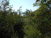 KLENOVICA Zemljište 852 m2 s pogledom na more