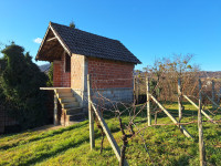 Klet i vinograd: Pregrada - Donja Plemenšćina, 30.00 m2