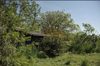 *Kombinirano zemljište u Loborici*