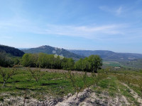 Kompleks zemljišta s otvorenim pogledom na Motovun