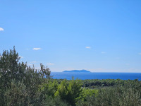 Korčula, Potirna, poljoprivredno zemljište, 8949 m2 sa ruševinom