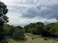 KOSTRENA, PLEŠIĆI - Građevinsko zemljište s pogledom na more