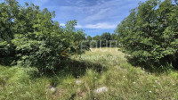 Krasica, građevinsko zemljište, 2.063m2