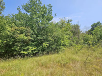 Krk, Poljica, poljoprivredno zemljište blizu građevinske zone!