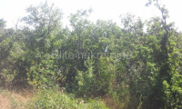 Krk, Punat - prodaja poljoprivrednog zemljišta, 11000m2!