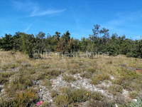 Krk, Punat - prodaja poljoprivrednog zemljišta od 822m2!