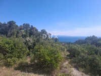 Krnica, Pavićini, poljoprivredno zemljište, 550m2, pristupni put