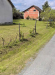 Kuća: Daruvar, 50.00 m2