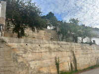 Kuća Lastovo Ubli *Prvi red do mora*