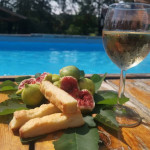 IMANJE ZA PROSLAVE/PARTY IMANJE