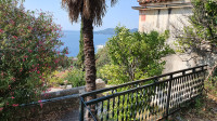 Kuća za renoviranje sa ruševinom na 1.500 m2 u Orašcu, Dubrovnik