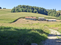Obiteljska kuća u naselju Sveti Urban, Međimurje, 434.00 m2