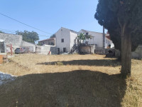 Kuća sa velikom okućnicom u srcu Istre