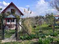 kuća sa vinogradom i voćnjakom