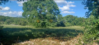 Labin, građevinska parcela 1.020m2