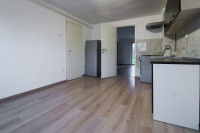 LAŠĆINA, MANJI STAN U OBITELJSKOJ KUĆI ***BEZ PROVIZIJE!!!***