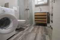 LAŠĆINA, MANJI STAN U OBITELJSKOJ KUĆI ***BEZ PROVIZIJE!!!***