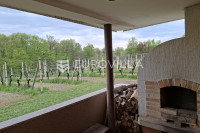 Lekenik, GORNJI VUKOJEVEC, šarmantna vikendica s konobom i vinogradom,