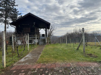 Lekenik- Zebinec- Drveno-zidana vikend kuća s vinogradom