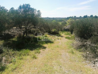 .::: Lijepo poljoprivredno zemljište 4.049 m2 :::.