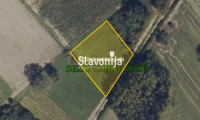 Livada [Selci Đakovački]
