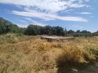 Ližnjan, 1100 m2 - BLIZU NASELJA I URBANIZIRANE ZONE
