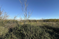 Ližnjan, Muntić, građevinsko zemljište s važećom dozvolom i plaćenim d