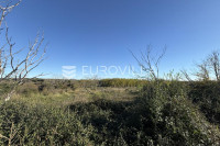 Ližnjan, Muntić, građevinsko zemljište s važećom dozvolom i plaćenim d